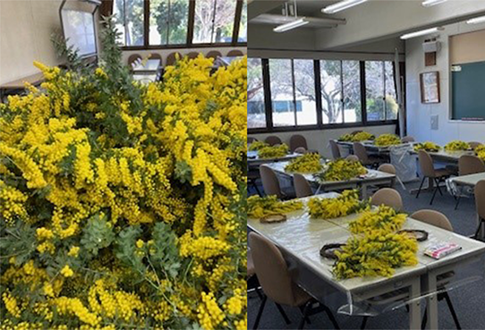 2024年「第1回野田きゃんカフェ」開催「春を告げる花 優しい香りのミモザでリースを作ろう!!」(3/9・開催報告)