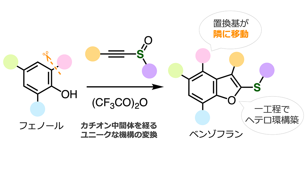 置換基が密集したベンゾフランを簡便合成する手法を開発～ベンゼン環上の置換基が隣接炭素に移動するユニークな反応機構～