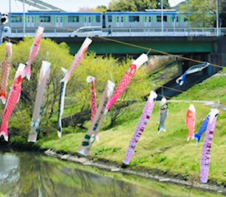 利根運河を泳ぐ 東京理科大学 鯉のぼり