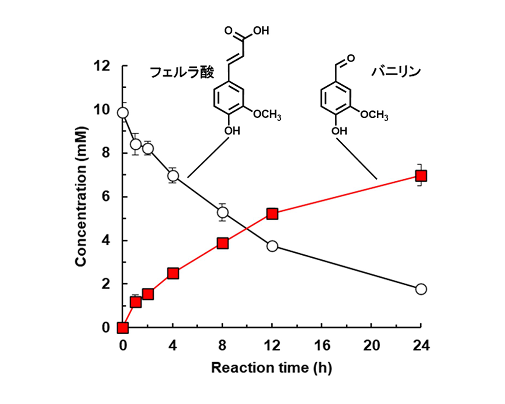 バニラの甘い香り成分を生成する酵素を開発～農産廃棄物由来の化合物から室温で簡便に合成可能～