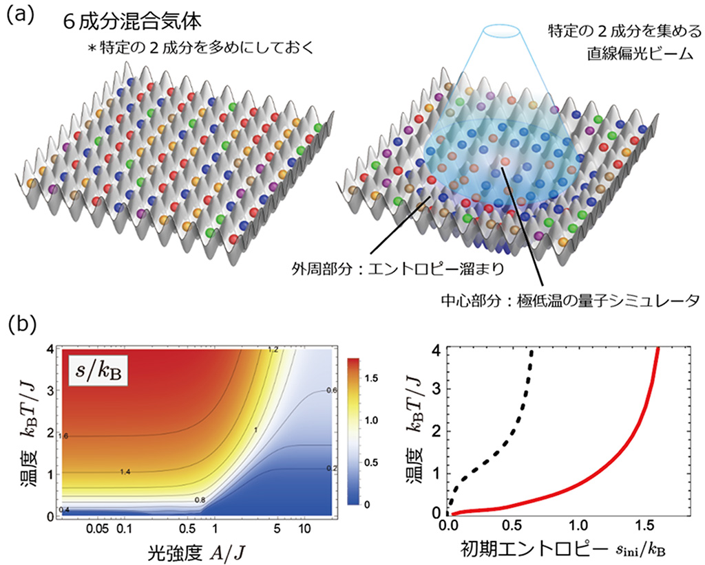 エントロピー制御による量子シミュレータの極低温冷却法を確立– 高温超伝導や量子磁性などの仕組みの解明に期待 –