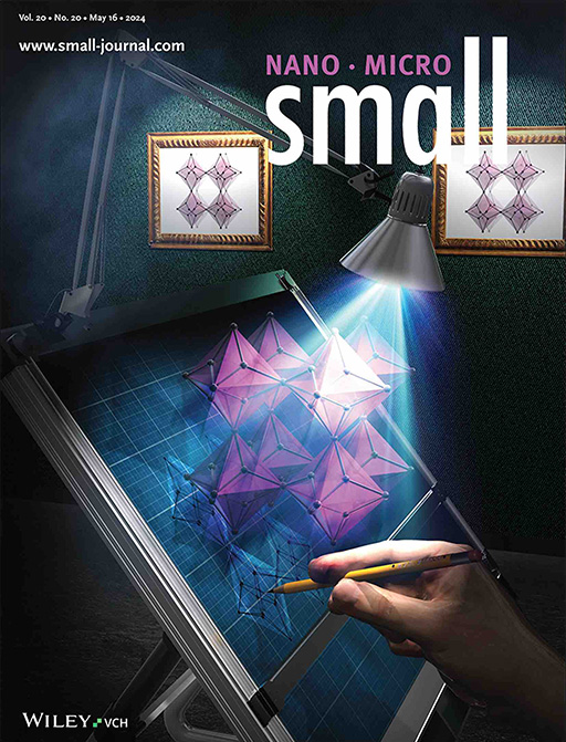 Saikat Das講師らによる論文が、Wiley社発刊のSmall誌のBack Coverに選出