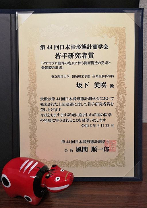 坂下 美咲助教が第44回日本骨形態計測学会において若手研究者賞を受賞