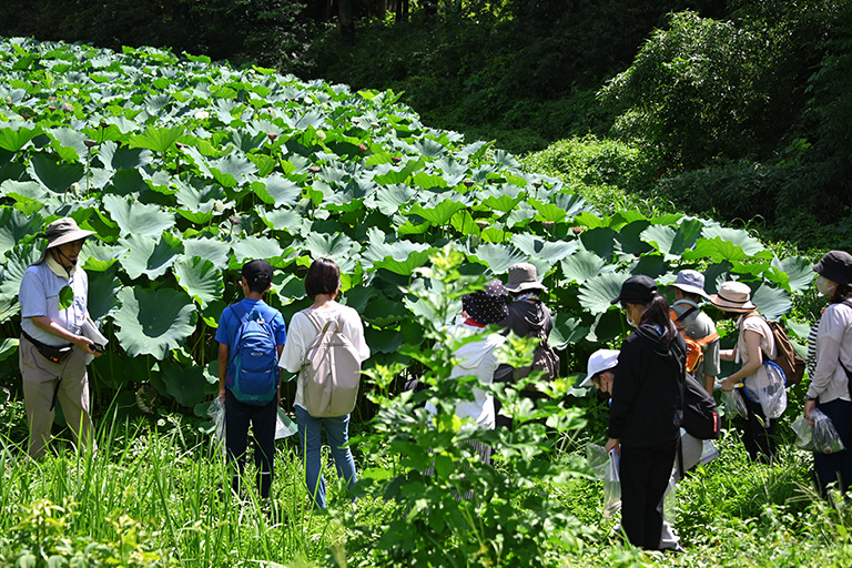 野田キャンパスで「生物多様性講座」を開催(8/6,7)