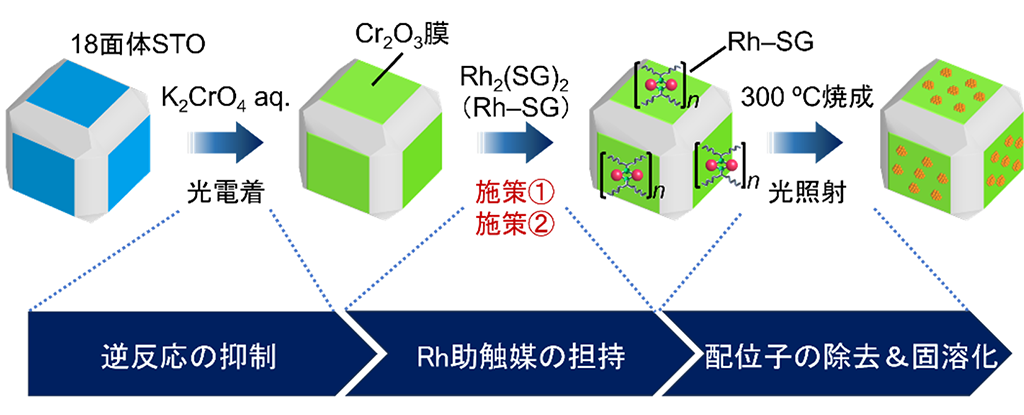光触媒の水素生成面を選んで極微細な助触媒を担持する技術を開発 ─水に太陽光を当てるだけの水素製造技術の実用化に期待─