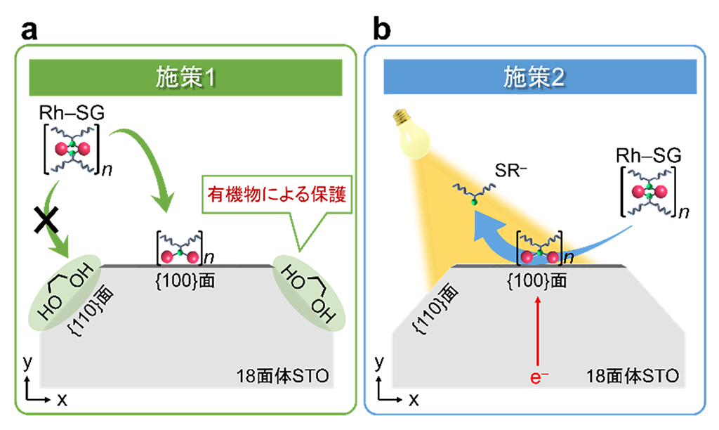 光触媒の水素生成面を選んで極微細な助触媒を担持する技術を開発 ─水に太陽光を当てるだけの水素製造技術の実用化に期待─