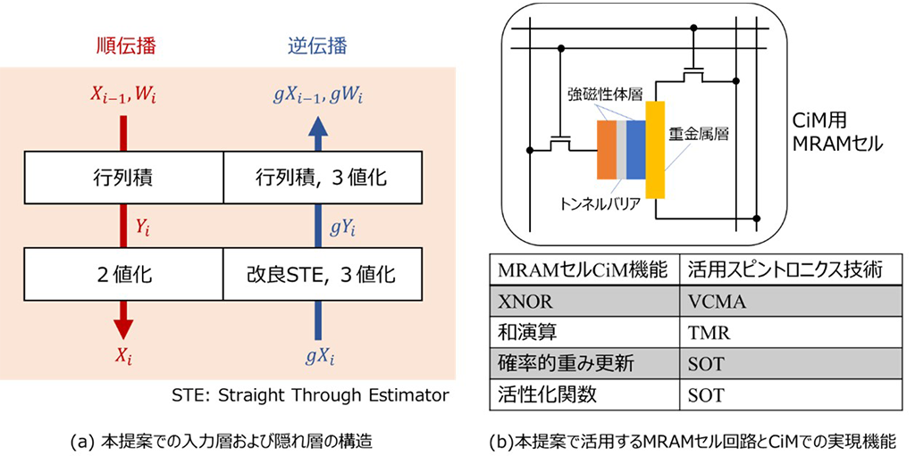 エッジ側に搭載可能な“学習機能”を備えた人工知能処理ハードウエアを開発～スピントロニクス技術を活用し、三値勾配二値化ニューラルネットワークを提案～