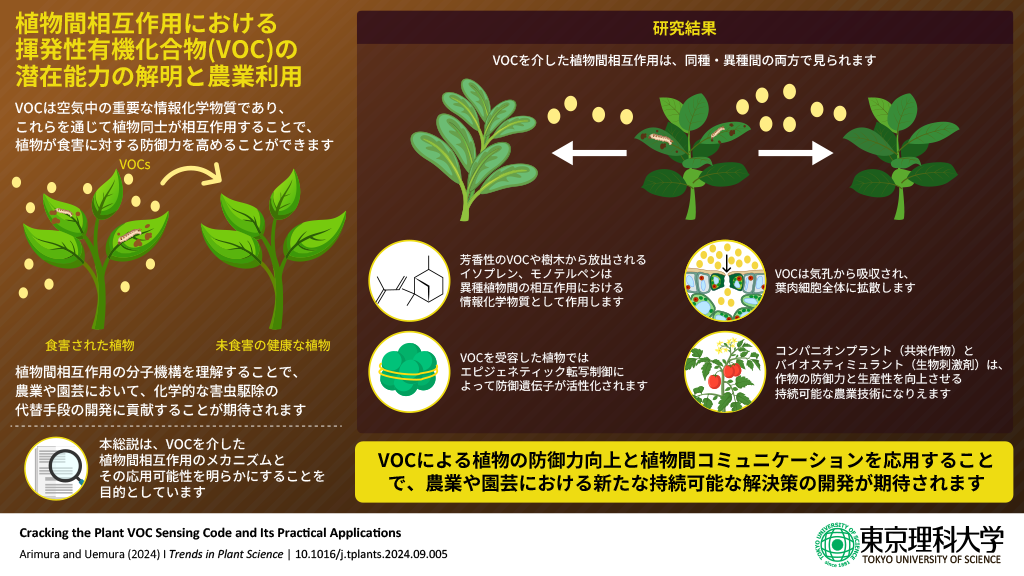 植物における匂い(VOC)の作用と認識メカニズムに迫る~環境にやさしく持続可能な農業・園芸技術の実現に大きく貢献~