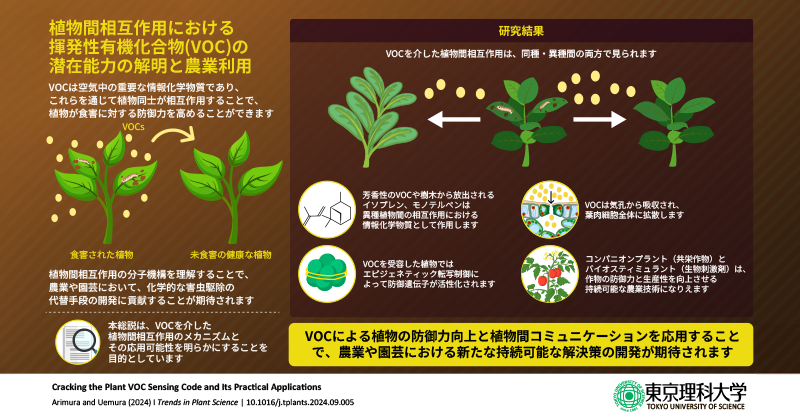 植物における匂い（VOC）の作用と認識メカニズムに迫る～環境に