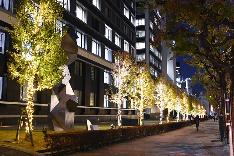 2024年 神楽坂・野田・葛飾キャンパスにイルミネーションが点灯