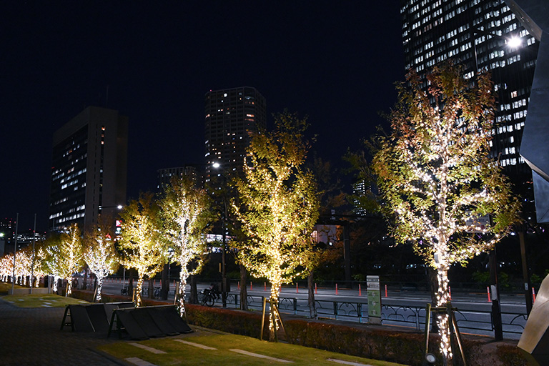 2024年 神楽坂・野田・葛飾キャンパスにイルミネーションが点灯
