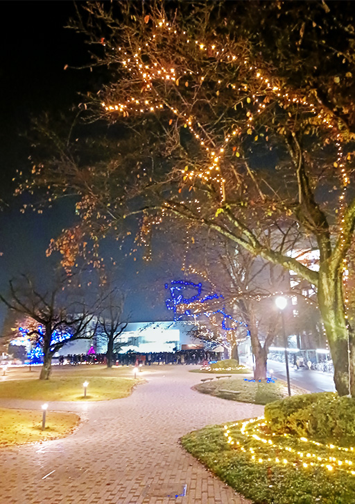 2024年 神楽坂・野田・葛飾キャンパスにイルミネーションが点灯
