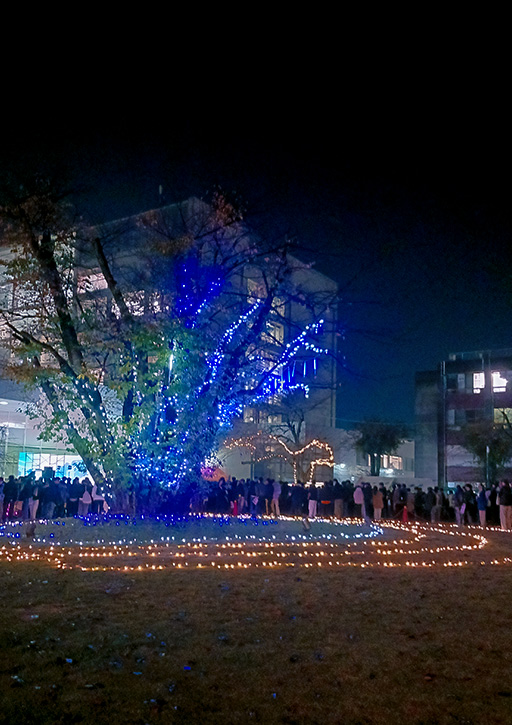 2024年 神楽坂・野田・葛飾キャンパスにイルミネーションが点灯｜東京