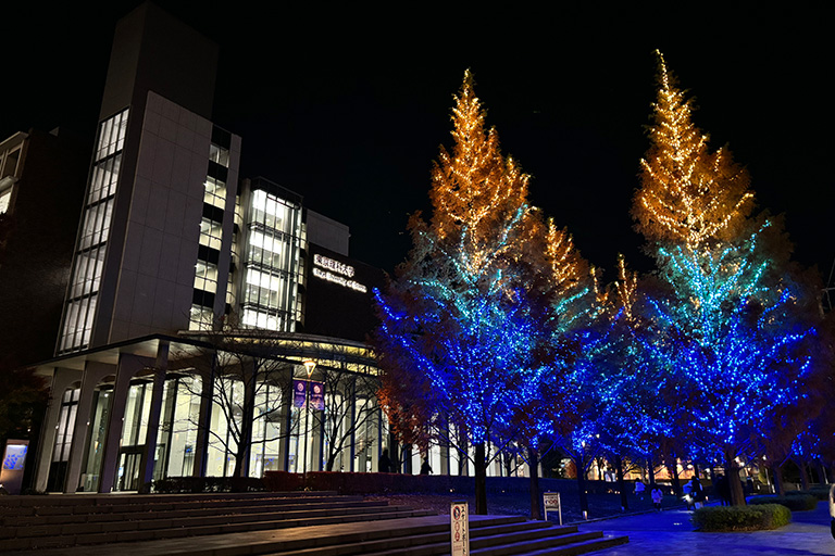2024年 神楽坂・野田・葛飾キャンパスにイルミネーションが点灯｜東京