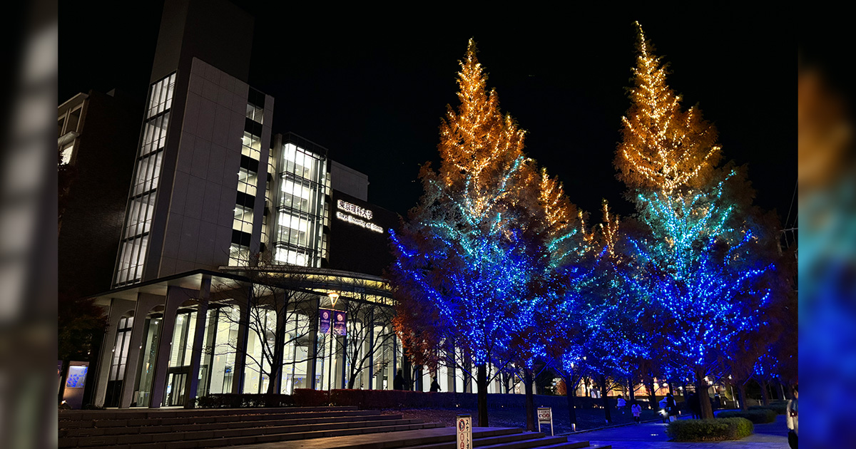 2024年 神楽坂・野田・葛飾キャンパスにイルミネーションが点灯｜東京