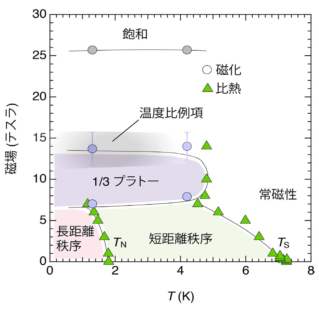 カゴメ文様に秘められた磁場中分数量子状態～フラストレーションと量子揺らぎで安定化するカゴメ磁性体の1/3磁化プラトーを発見～