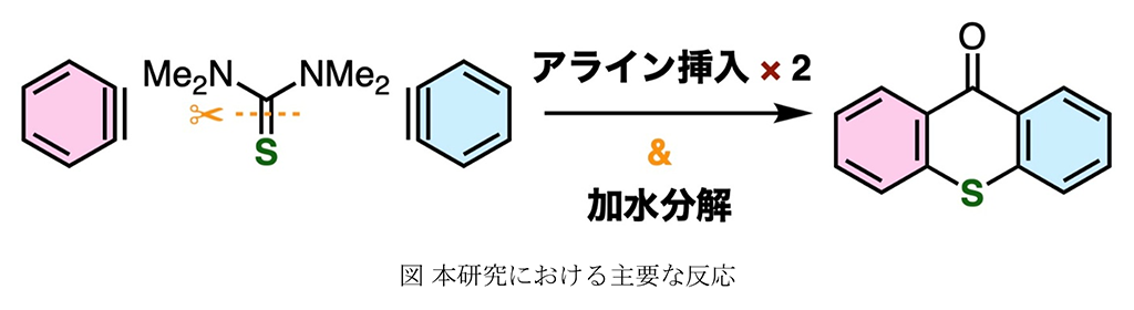チオキサントン類を短工程で合成できる新たな手法を開発～アライン中間体がチオカルボニル基に2度挿入される特異な反応～