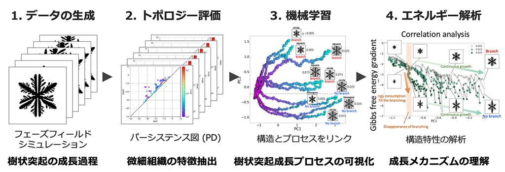 薄膜生成時の枝分かれ現象を、トポロジー・物理・AIの融合で解明
        〜Beyond 5Gを支える基盤技術への応用に期待〜