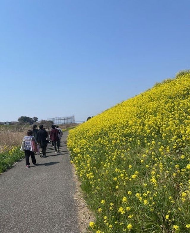 「におどり公園」へ向かう途中