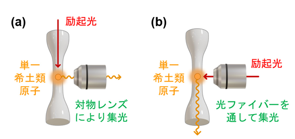 光ファイバー内の単一原子を選択的に励起し、単一光子の生成に成功~光量子通信ネットワークにおける高効率な伝送技術への応用に期待~