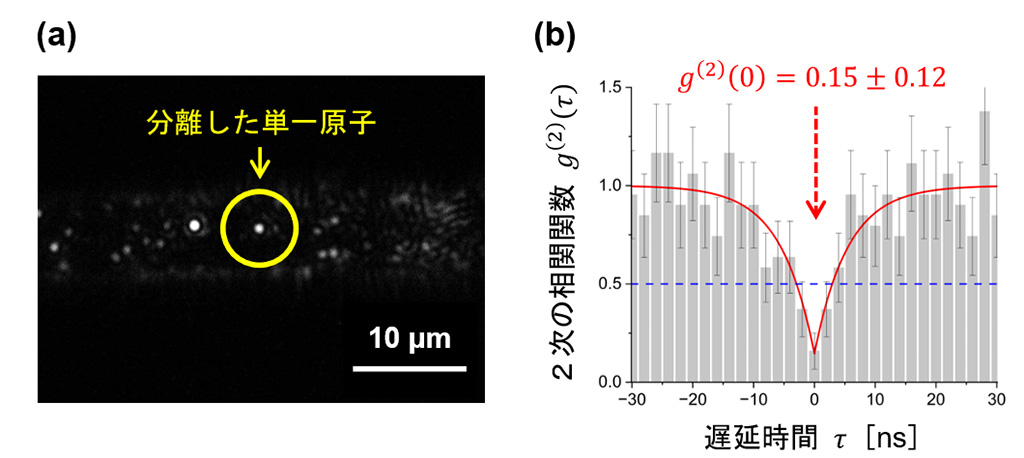 光ファイバー内の単一原子を選択的に励起し、単一光子の生成に成功~光量子通信ネットワークにおける高効率な伝送技術への応用に期待~