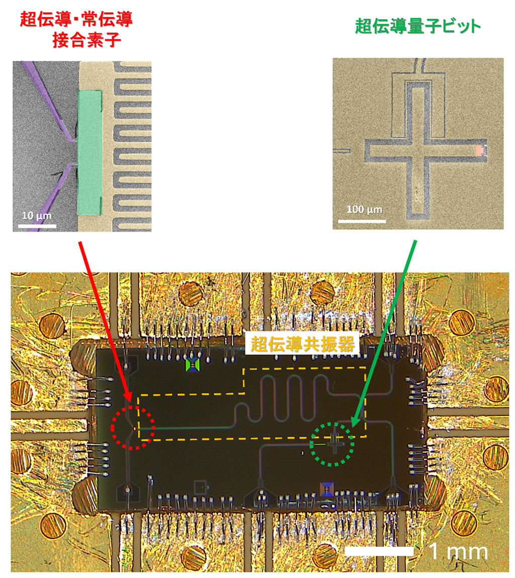量子の世界で「冷やす」を測る
            量子回路中の光子吸収を量子ビットにより高速評価