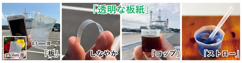 透明な紙コップ!?海にやさしい透明な板紙を開発
―深海プラスチック汚染の要因である包装容器の代替に期待―