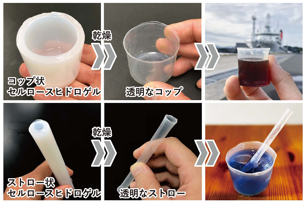 透明な紙コップ!?海にやさしい透明な板紙を開発
―深海プラスチック汚染の要因である包装容器の代替に期待―