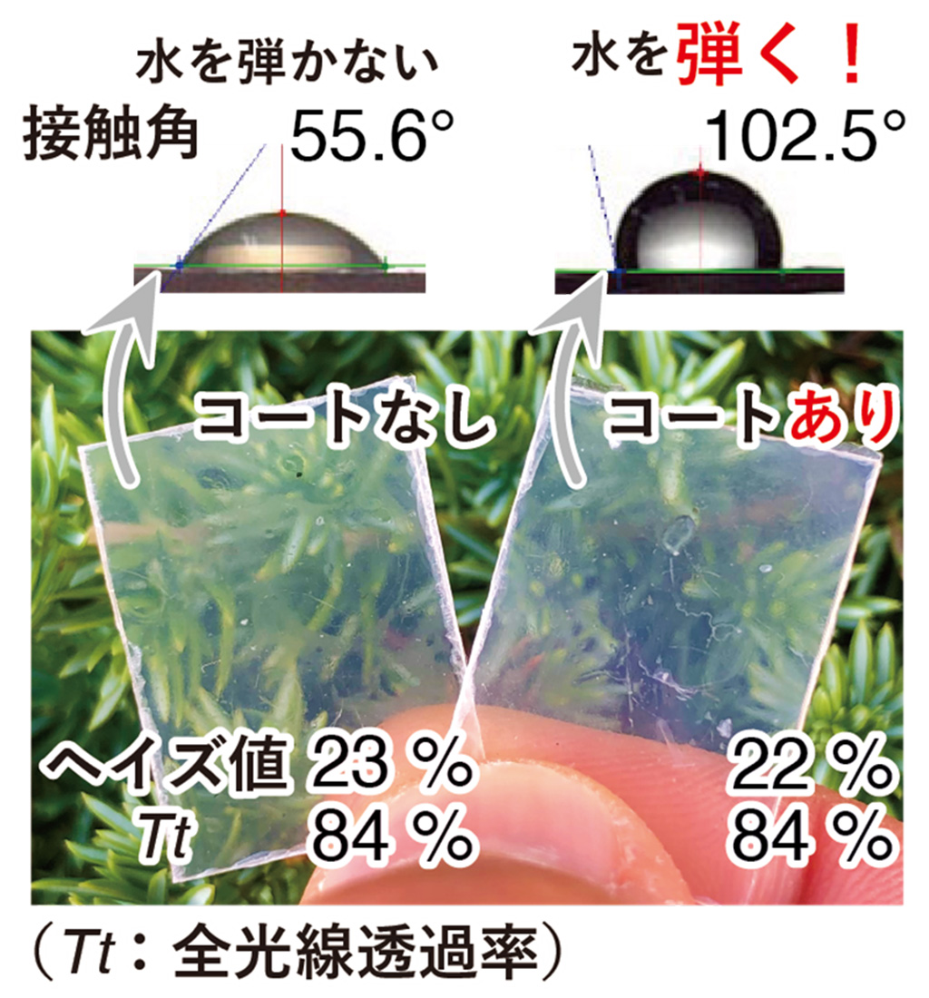 透明な紙コップ!?海にやさしい透明な板紙を開発
―深海プラスチック汚染の要因である包装容器の代替に期待―