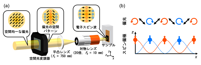 半導体内の電子スピン波を自由に制御できる技術を確立─電子スピン波を活用する次世代情報処理基盤を開拓─