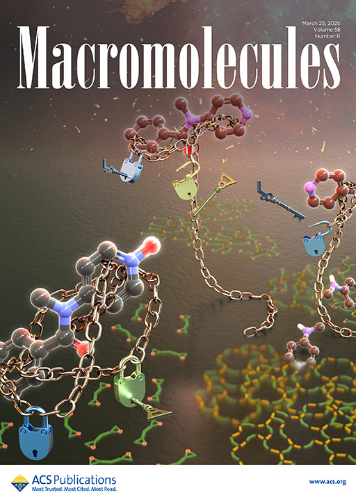 アメリカ化学会発行『Macromolecules』誌のSupplementary Coverに本学教員ら及び大学院生の学術論文が選出