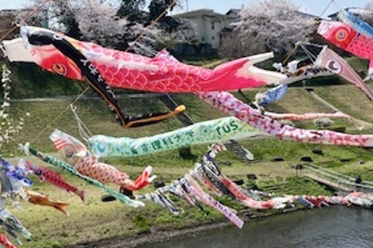 利根運河を泳ぐ 東京理科大学 鯉のぼり