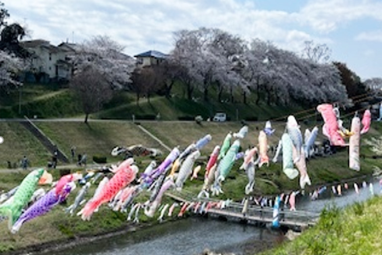利根運河を泳ぐ 東京理科大学 鯉のぼり