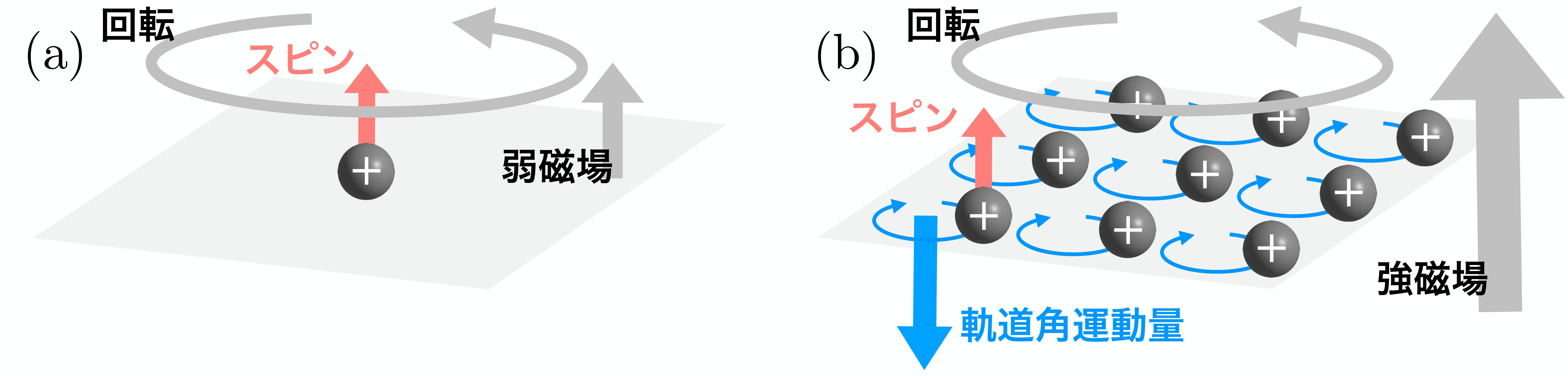 磁気渦物質における角運動量反転現象の理論的発見～ゲージ不変な熱力学が導く量子物質の新たな普遍性～