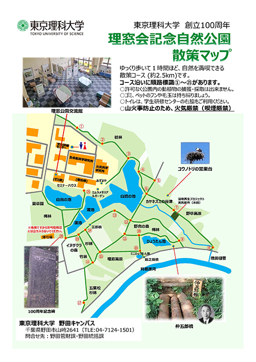 理窓公園にコウノトリの営巣台を設置