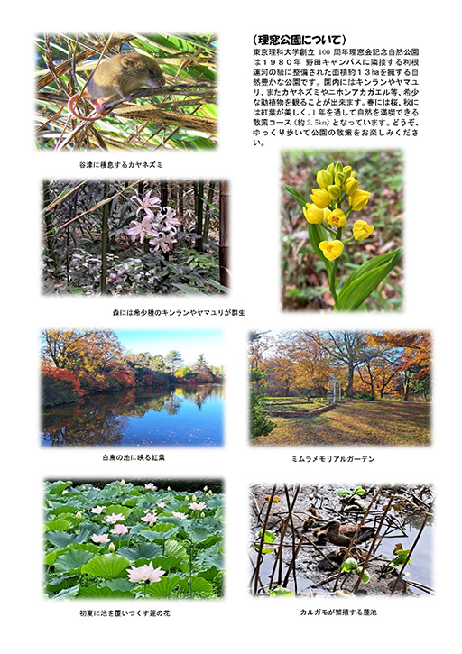 理窓公園にコウノトリの営巣台を設置