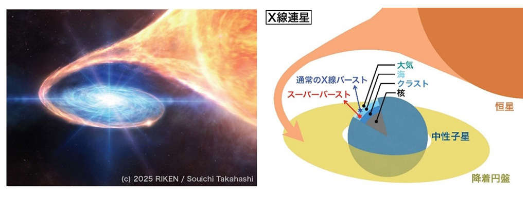 中性子星表面の核融合「スーパーバースト」を観測
-キューブサットX線衛星NinjaSatが新天体の解明に貢献-