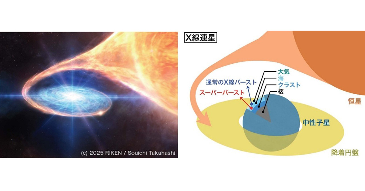 ハーブ占星術 Amazon.co.jp: 魂を癒すハーバルアストロロジー: 惑星が伝える