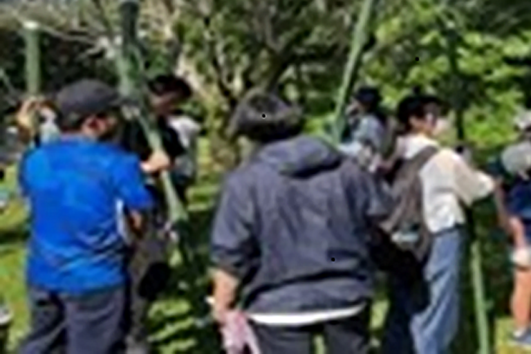 【開催報告】「東京理科大学ふれあいの杜」「理窓会記念自然公園」でヤマユリ保全活動を実施 (6/21)