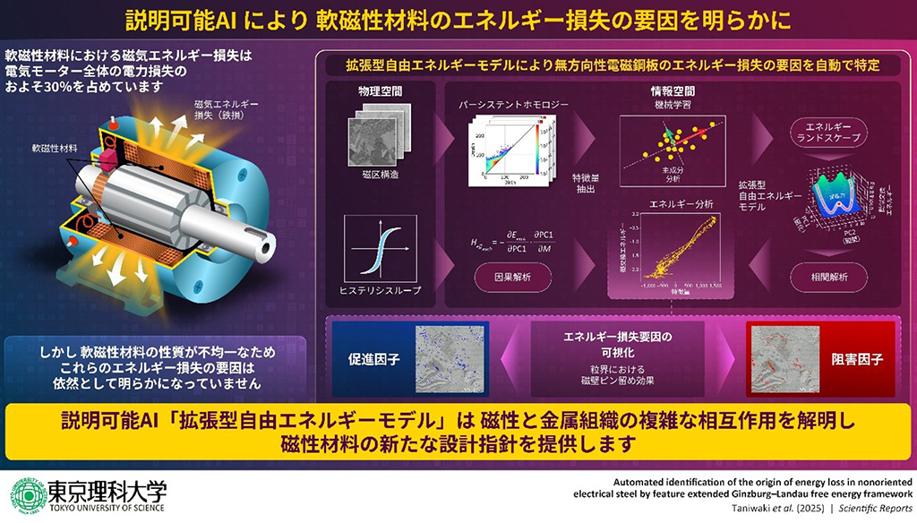 次世代AIで磁性材料のエネルギー損失の原因を解明
~省エネルギーな次世代EV開発への応用に期待~