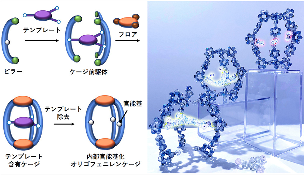 官能基化ナノケージの高効率な合成法を開発－機能性有機ホスト材料の開発に向けて－