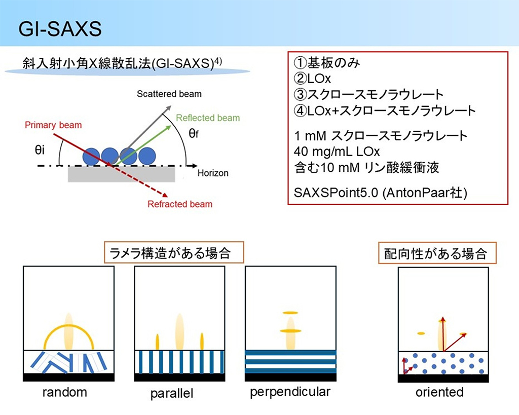 図1 斜入射小角X線散乱法(GI-SAXS)