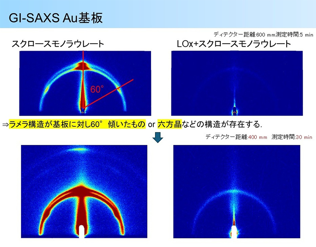 図2 スクロースモノラウレート単体、およびLOxとスクロースモノラウレートを共修飾した場合のGI-SAXS測定結果