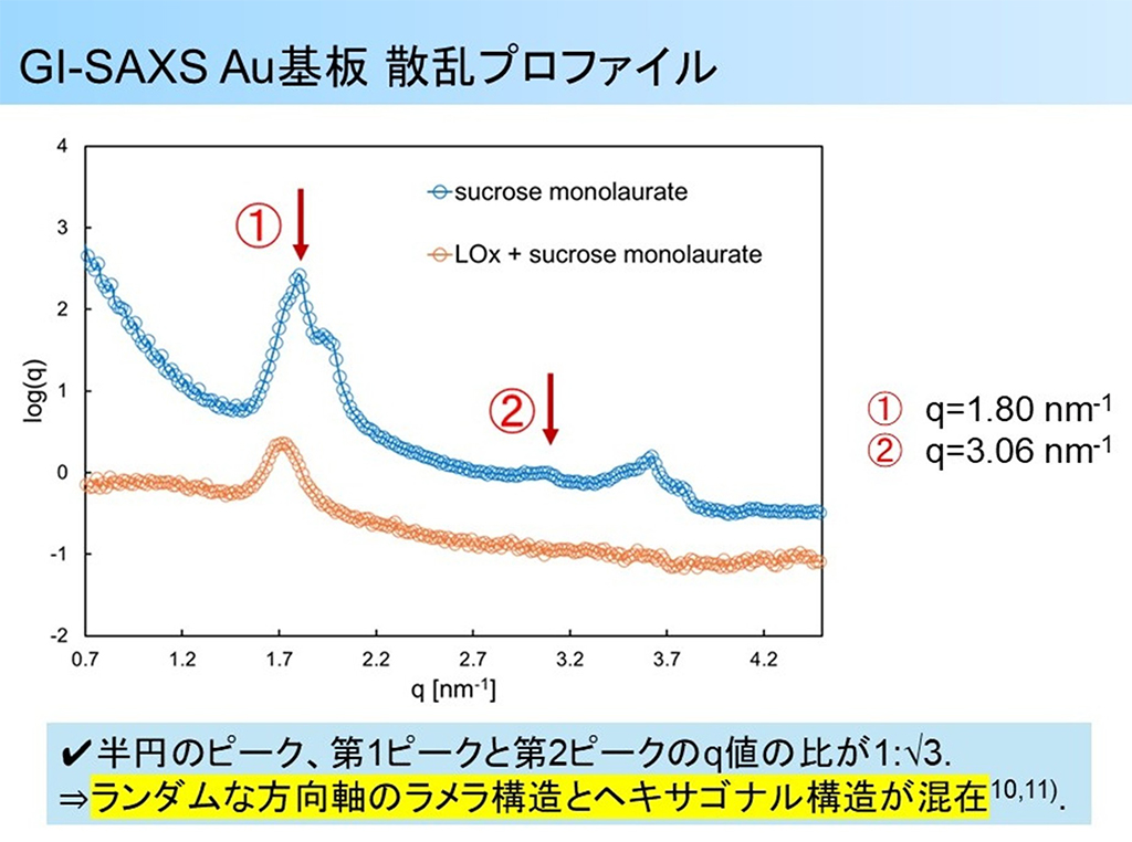 図3 スクロースモノラウレート単体、およびLOxとスクロースモノラウレートを共修飾した場合のGI-SAXSの散乱プロファイル