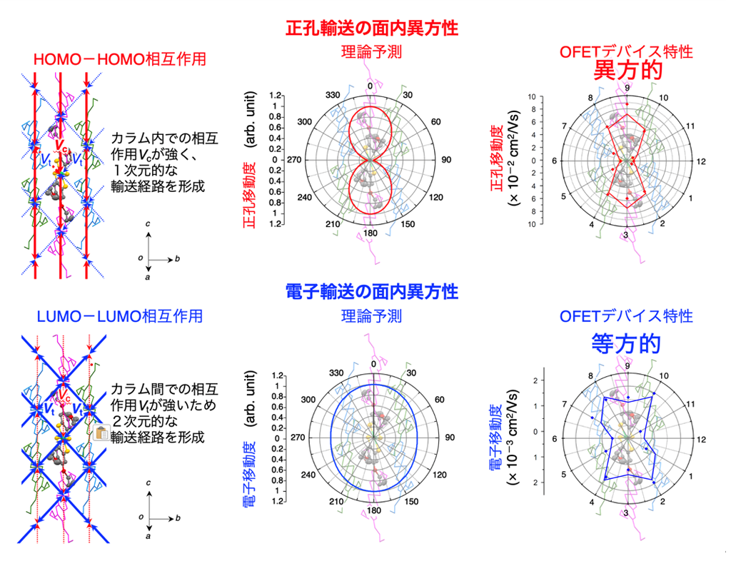 単一の半導体材料にて正孔と電子の異なる輸送異方性を実証―分子半導体における理論予測を実証し、次世代電子デバイス開発の新たな指針を提示―