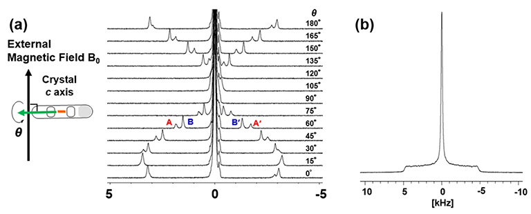 ナノ単結晶細孔に閉じ込められた水の階層性と新しい水の相の性質~固体 ²H NMRの測定でみえること~
