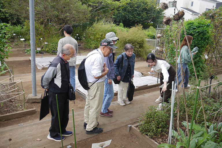 【開催報告】2025年 第5回 野田きゃんカフェ「秋分の薬用植物園ツアー」を開催しました(10/19)