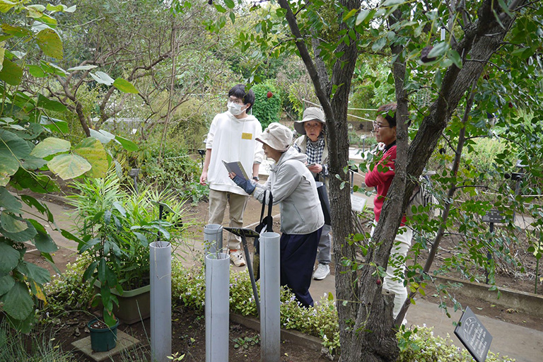 【開催報告】2025年 第5回 野田きゃんカフェ「秋分の薬用植物園ツアー」を開催しました(10/19)