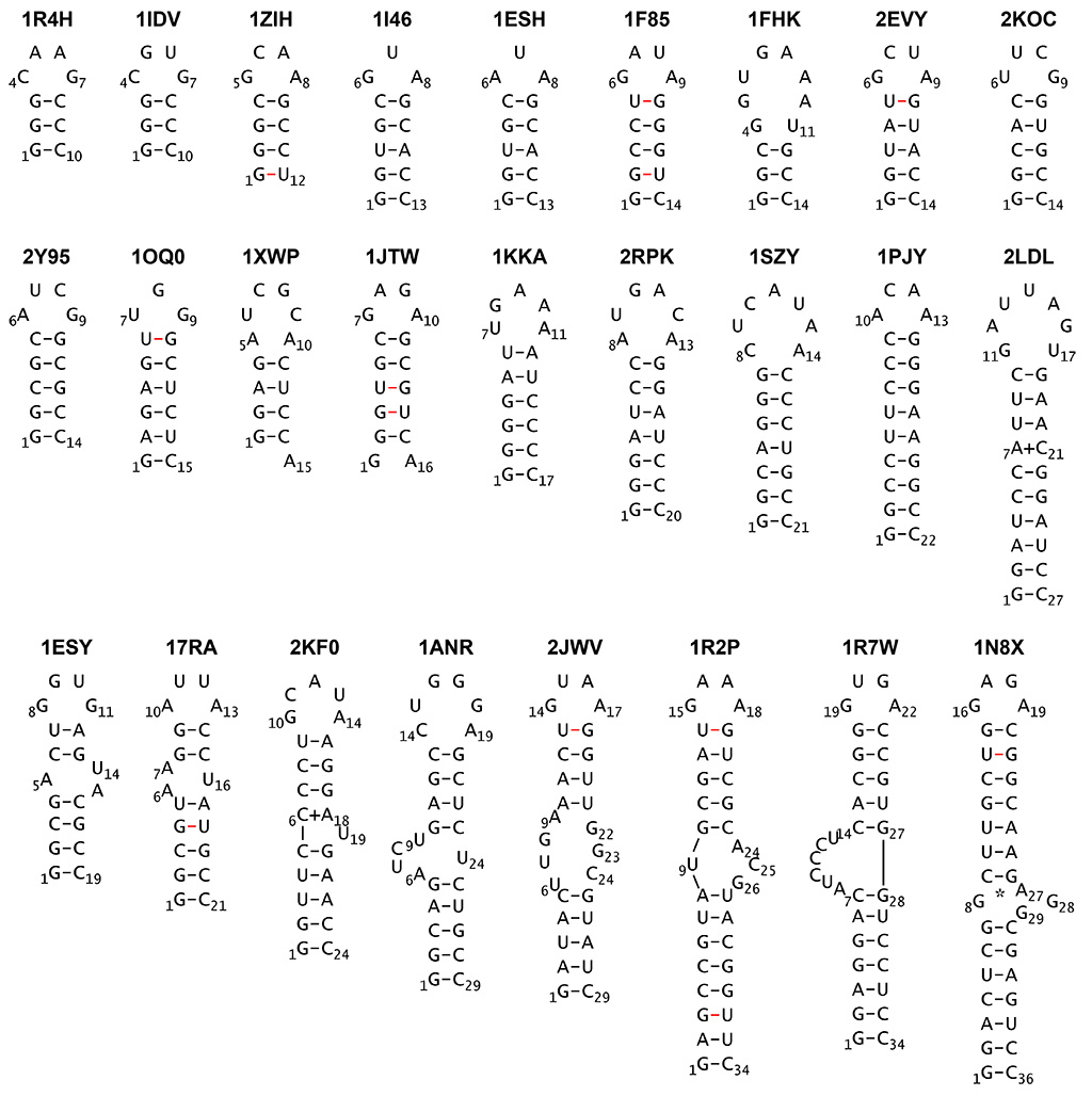 RNAステムループの折りたたみダイナミクスを分子動力学シミュレーションで再現～RNAのデザインや創薬分野への応用に期待～