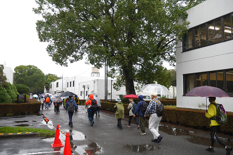 開催報告】「野田むらさきの里ふれあいウオーク2025」を開催しました(10/26)